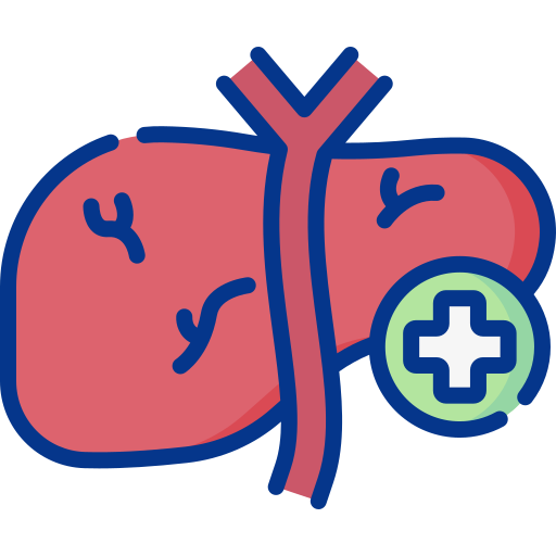 Hepatology icon