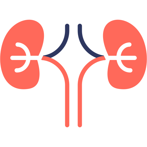Nephrology icon